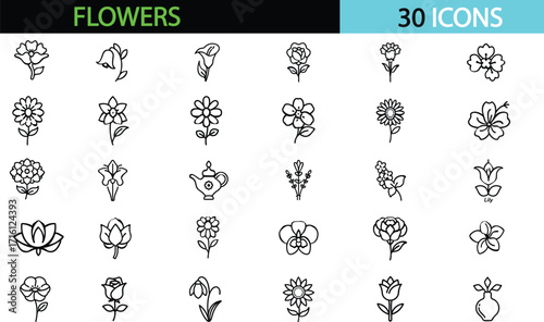 Flowers  line icon set. Containing rose, tulip, daisy, sunflower, lotus, lily, orchid, magnolia Editable stroke. Vector illustration transparent