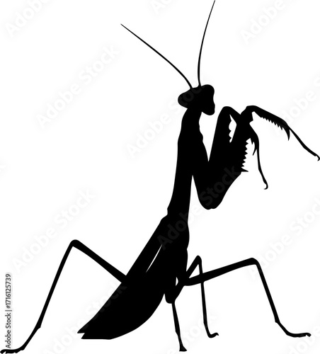 Striking mantis silhouette, perfect for nature designs or insect themed projects, bold and captivating