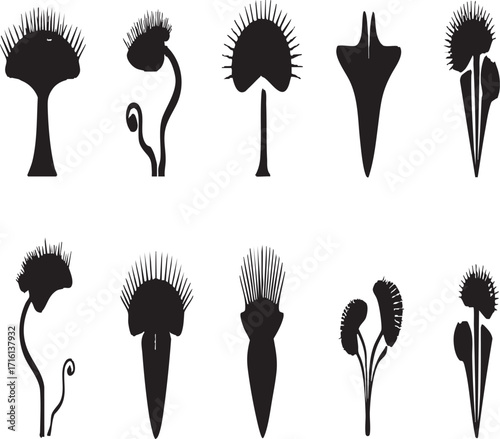 Two stylized venus flytrap plants in black silhouette on a white background graphic illustration