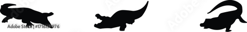 Silhouette set of crocodiles in different poses, wild animal vector illustration, reptile concept, black and white nature design