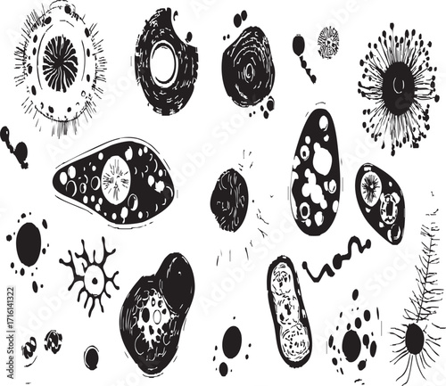 A vintage black and white illustration depicting various microscopic cell structures and organisms in detail