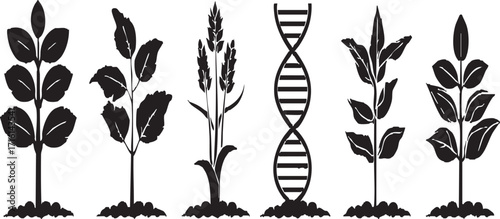 A collection of black and white icons depicting science, nature, and plant growth in various stages
