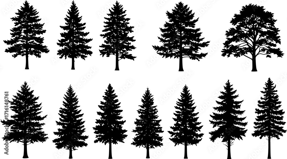 Fototapeta premium set of trees