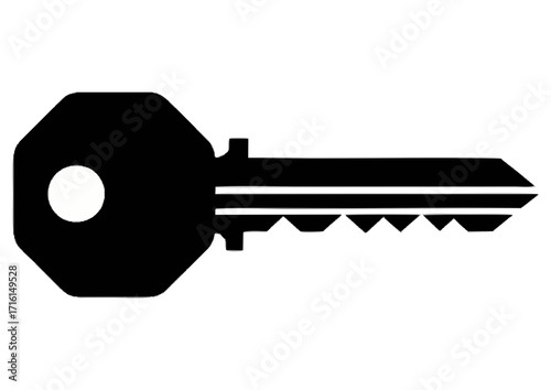 Stylized gray key on a light pastel background, vector illustration 