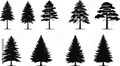 Set of coniferous tree silhouettes with diverse shapes and foliage styles, isolated on white background for forest, nature, and design use.