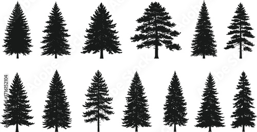 Set of coniferous tree silhouettes with varied shapes and foliage density, isolated on white background, ideal for nature, forest, and design.