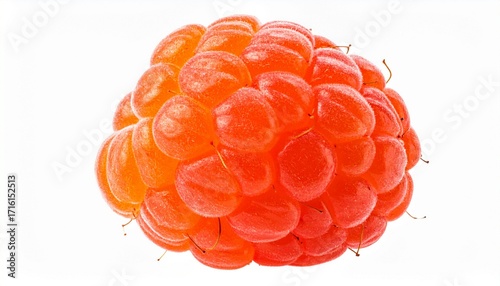Single Red Raspberry Closeup Fresh, Juicy, Summer Berry, Generated image