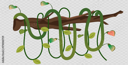 Creeper Vine with Flowers on Wooden Branch – Nature Vector Illustration