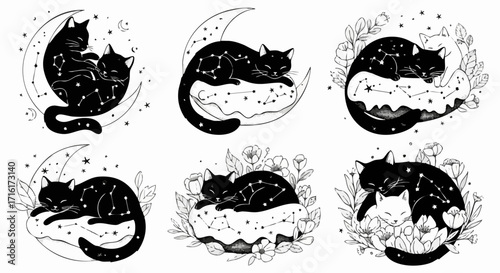 Dreamy celestial cats nestled on moons and clouds evoke peaceful slumber and cosmic wonder