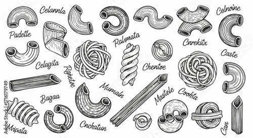 Artistic hand drawn pasta collection with diverse shapes and unique culinary labels