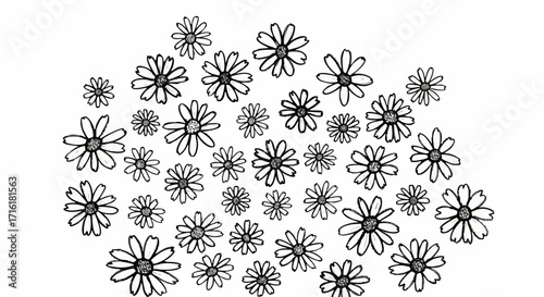 Charming hand-drawn daisy pattern brings fresh, natural beauty to any creative project