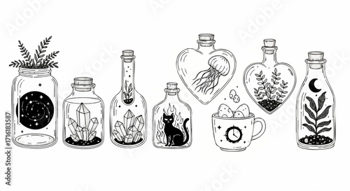 Magical collection of curiosities in bottles mystical plants crystals cat moon galaxy jellyfish