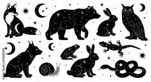 Whimsical celestial animal silhouettes magical night sky moon stars mystic wildlife collection
