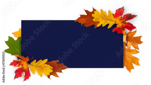 Autumn leaves banner