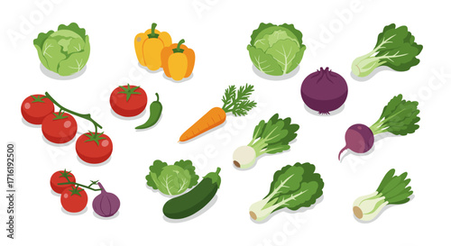 Fresh vegetable collection with cabbage, tomatoes, peppers, and more in colorful isometric design