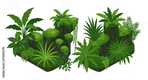 Lush tropical jungle plants set against a white background in flat design