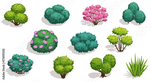 Colorful collection of various bushes and shrubs in isometric style