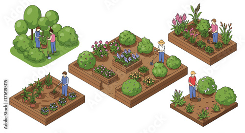 Community garden plots with people in isometric style engaged in gardening and plant care activities