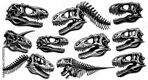 An illustration of various dinosaur skull and skeletal remains, presented in black and white.