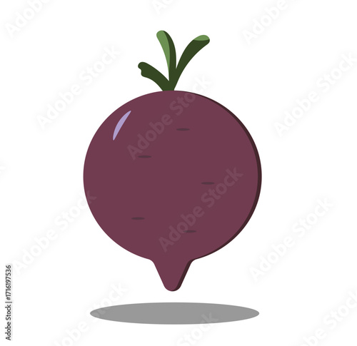 beetroot on a white background, shadow,