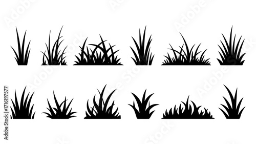 Diverse Grass Silhouettes Vector Collection A Versatile Graphic Element Set for Nature-Themed Designs and Digital Landscapes