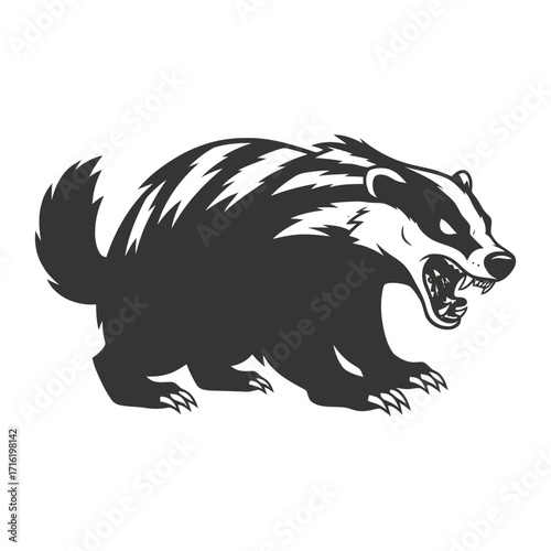 Aggressive Badger Illustration A Detailed Black and White Image of a Threatening Creature