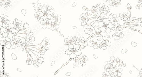 Delicate line drawing of cherry blossom branches and scattered petals on a light background, creating a serene floral pattern.
