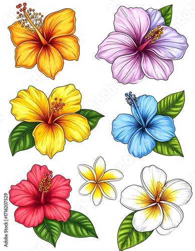 Hawaiian floral hibiscus design with bright colors high resolution sticker