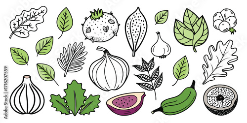 Fresh produce collection hand drawn art featuring fruits vegetables herbs leaves and garlic