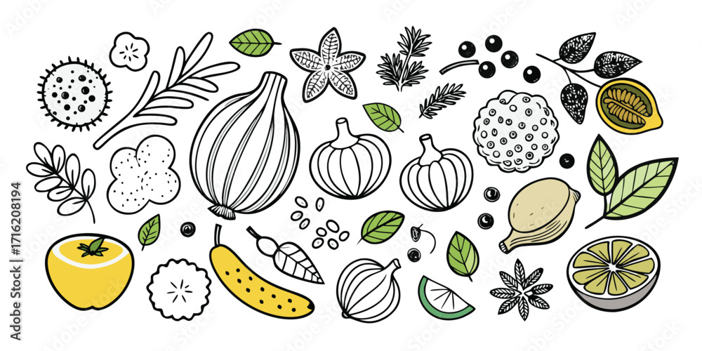 Fototapeta premium Assorted fruits and vegetables hand-drawn sketch collection for healthy eating and recipes