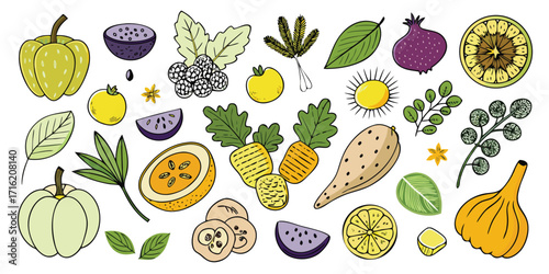 Vibrant assortment of fresh fruits and vegetables hand drawn style for healthy eating