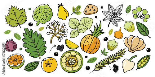 Artistic sketch collection of fresh fruits vegetables herbs and spices for healthy eating and cuisine