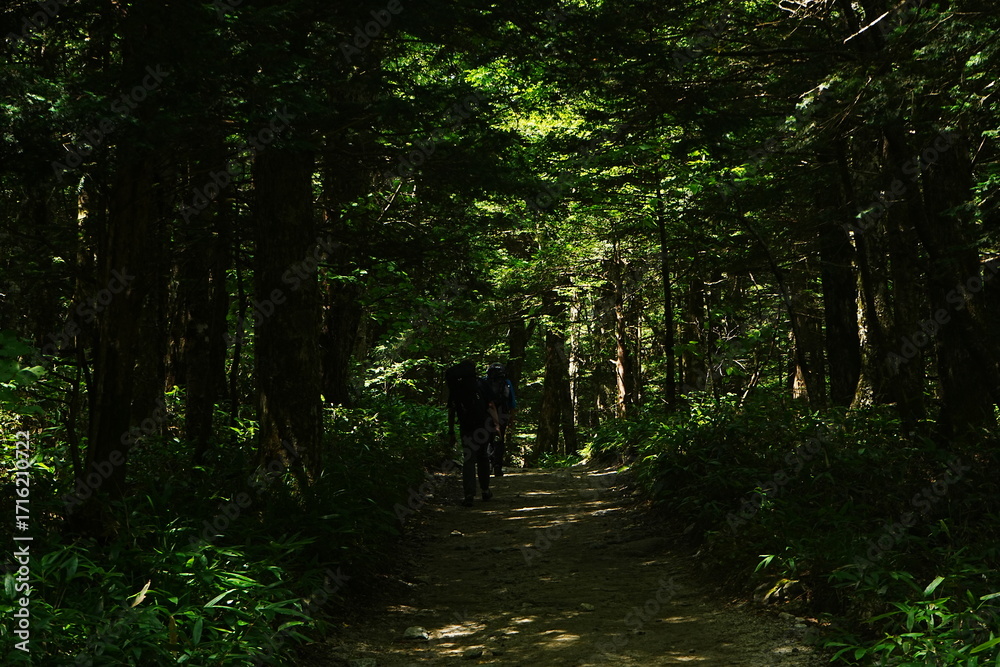 Obraz premium Kamikochi in Nagano, Japan - 日本 長野 上高地