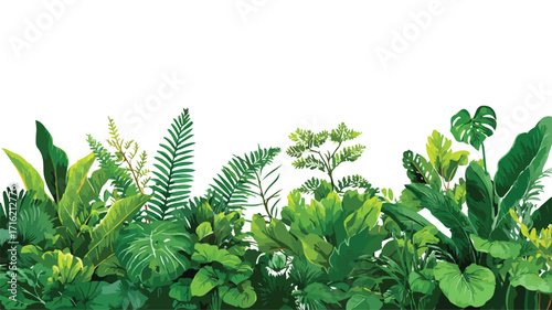 Lush Green Botanical Jungle Border Nature Photo