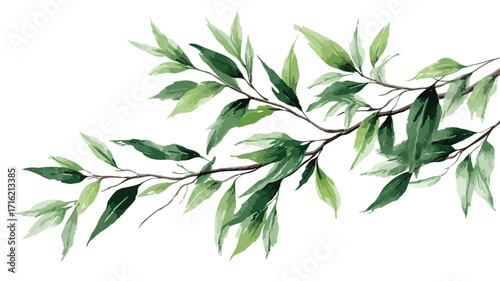 Vivid Hand Painted Greenery Willow Branches and Leaves EPS Image