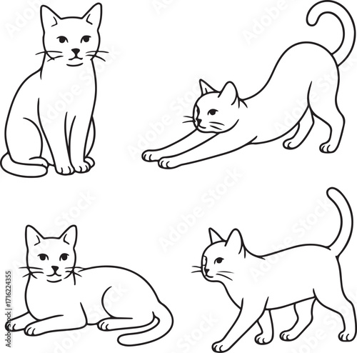 Line art cats illustration