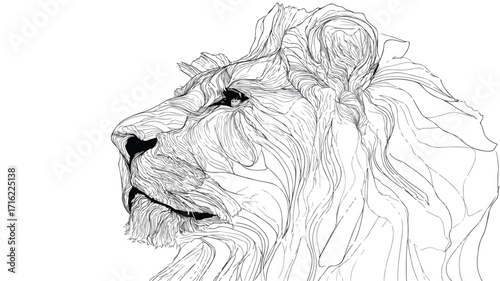 Stunning Lion Portrait in Continuous Line Drawing