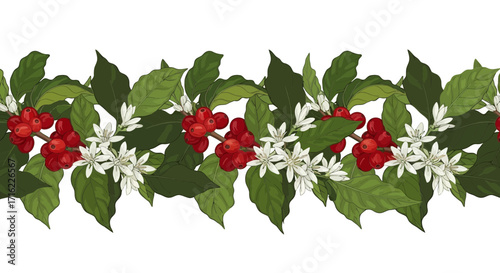 Vibrant coffee branch with ripe red berries and delicate white blossoms, showcasing natural growth and harvest beauty.