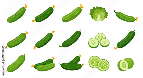Fresh cucumber and lettuce collection on white background