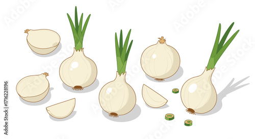 Fresh onions with green sprouts on white background