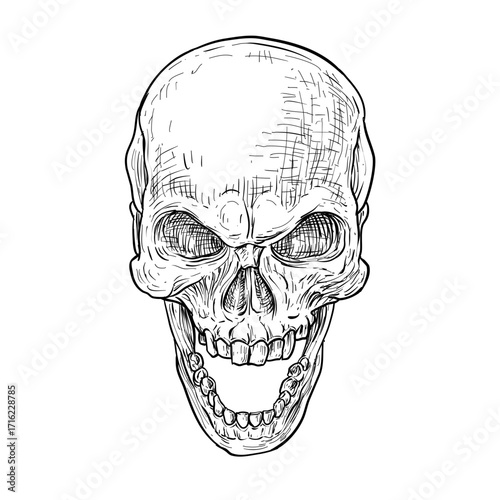 scary skull vector line art hand drawn illustration
