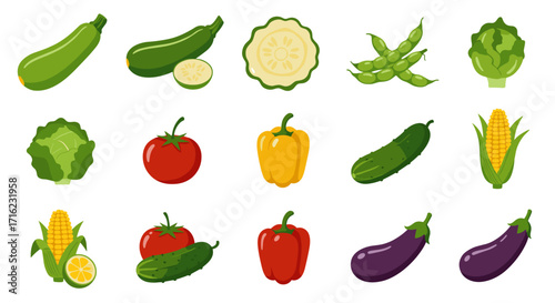 Colorful collection of fresh vegetables with vibrant illustrations