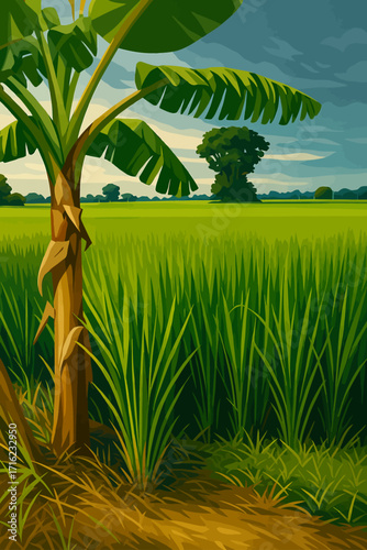A digital illustration of a lush green rice field with a banana tree in the foreground. The vibrant green rice plants stretch across the landscape, with tall trees and distant hills under a cloudy sky
