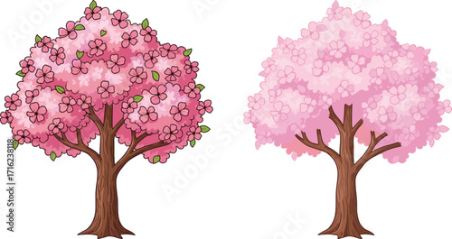 Beautiful pink cherry blossom tree illustration with flowers in full bloom, spring nature design, botanical artwork, floral landscape, seasonal environment concept