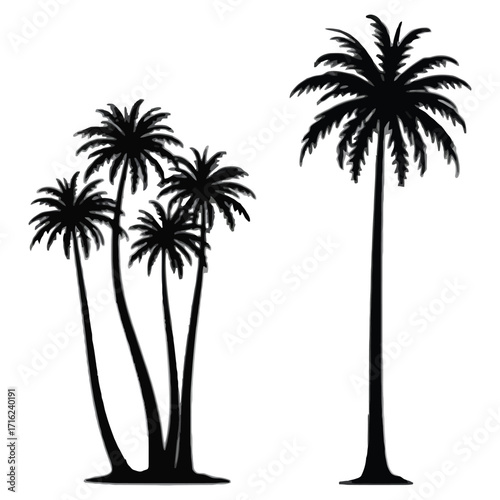 A vibrant tropical beach sunset with a silhouette of a single palm tree, perfect for a summer vacation design