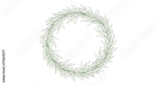 A delicate green wreath of delicate green foliage is displayed on a white background.