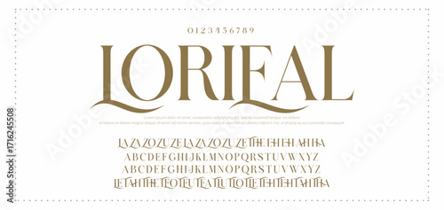 Eegant font alphabet uppercase lowercase and number. Classic lettering minimal fashion designs. Typography modern serif fonts regular decorative vintage concept. Vector illustration
