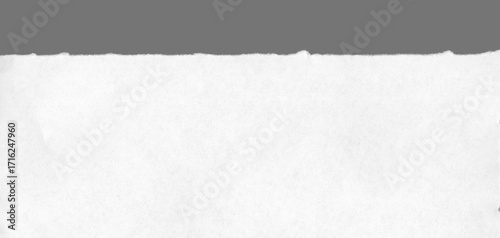 Torn edge of paper is carefully isolated and detailed for message background.