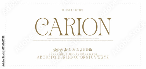 Eegant font alphabet uppercase lowercase and number. Classic lettering minimal fashion designs. Typography modern serif fonts regular decorative vintage concept. Vector illustration