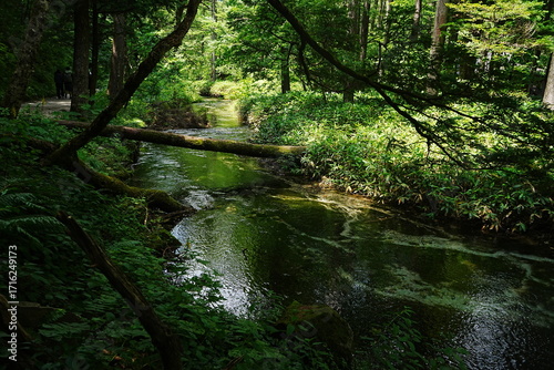 Kamikochi in Nagano, Japan - 日本 長野 上高地